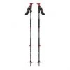 Black Diamond Traverse Ski Poles