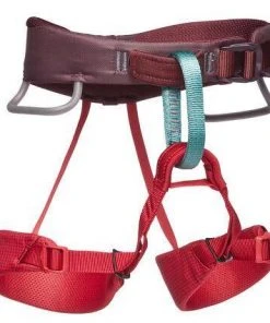 Black Diamond Momentum Kids Climbing Harness