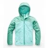 The North Face Girls Warm Storm Jacket Clothing