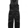 The North Face Toddler Insulated Bib Pant 2 The North Face Toddler Insulated Bib Pant