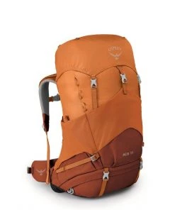Backpacks Osprey Ace 38L Kids Backpack