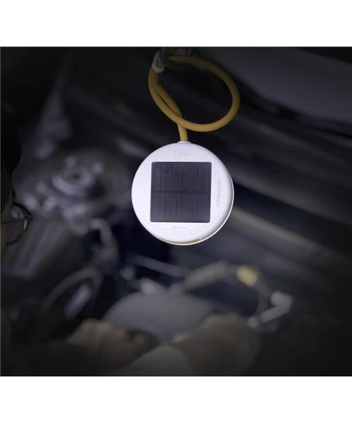 Luci Light Luci Core Light 6 Luci Light Luci Core Light